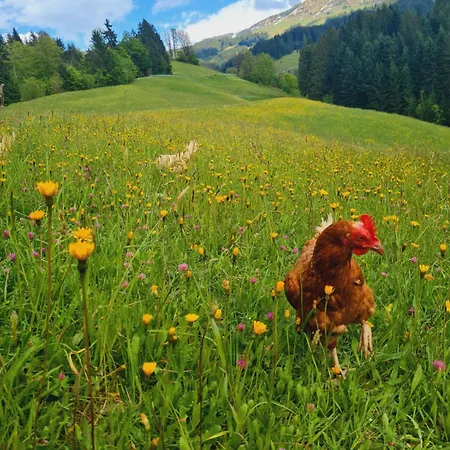 Der Erzstadl Alpehytte *