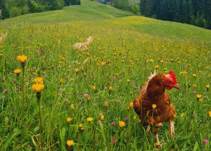 Der Erzstadl Шале *